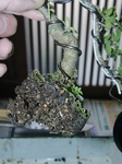 szk100418 018.01.jpg