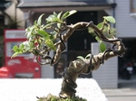 szk100418 026.01.jpg