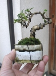 szk100418 027.01.jpg