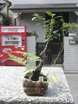 szk100808 027.01.jpg