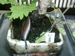 szk100808 028.01.jpg